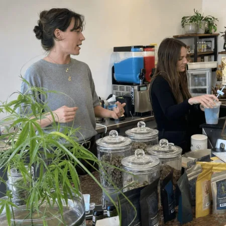 Discover the truth behind the THC slushie hemp incident. What sparked the controversy? Click to uncover exclusive details and expert reactions.