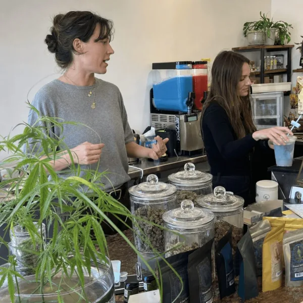 Discover the truth behind the THC slushie hemp incident. What sparked the controversy? Click to uncover exclusive details and expert reactions.