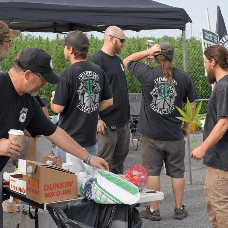 Teamsters Cannabis Strike Ignites Change at Illinois Grow Facility Discover the real story behind the Teamsters cannabis strike in Barry, IL. See what’s bringing workers and cannabis together—don’t miss this reveal.