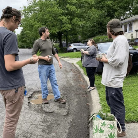 Curious how Tennessee pot for potholes could fix state roads? Uncover the bold cannabis-fueled plan that's catching everyone’s eye. Click to learn more!