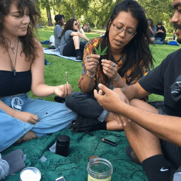Discover the evolution of psychedelics and why their journey is more shocking than you think. Uncover the unexpected role of psychedelics today!