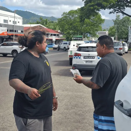 Uncover the full story behind the Vaitele marijuana arrest. Discover how police caught two men with over 50 sticks - you won’t believe what happened next.