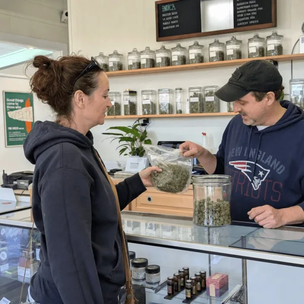 Vermont Cannabis Purchase Limit Doubles: What This Means for Residents Curious about the Vermont cannabis purchase limit? Find out how the new rules impact you, and what doubling the allowance means for local buyers and businesses.