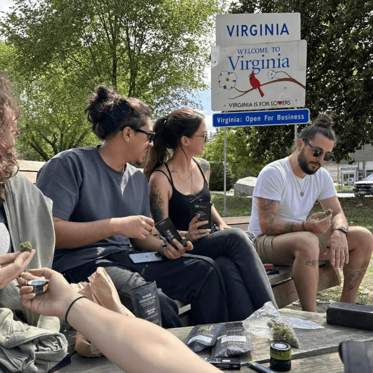 Virginia Cannabis Impact Neighboring States: Border Buzz and Economic Shifts Explore the Virginia cannabis impact neighboring states as adult-use sales rise. Want to know who benefits and why it matters? Discover the surprising regional shifts.