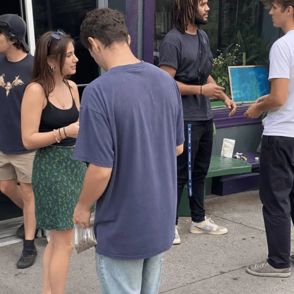 Thinking about cannabis in VA? Uncover the truth behind Virginia marijuana distribution laws—what's legal, what's not, and what could land you in trouble.