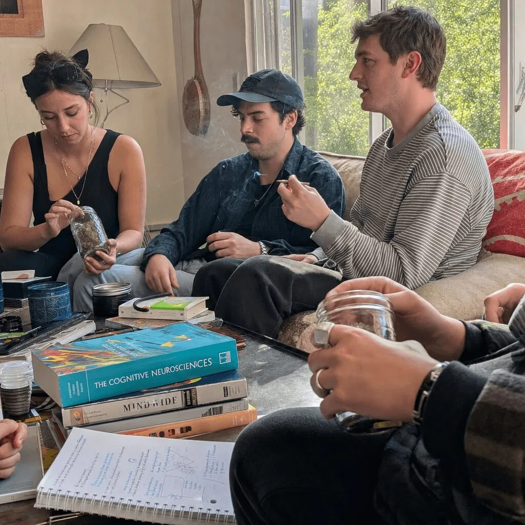 Why Psychedelics Electromagnetic Consciousness Is Shaping Cannabis Culture Now Dive into the mysteries of psychedelics electromagnetic consciousness—could this be the next revolution in neuroscience? Discover the bold truth inside!