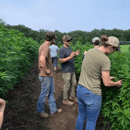 Discover how Wisconsin hemp safeguards could reshape the industry. Uncover what Evers proposes and why it could change everything. Find out more now.